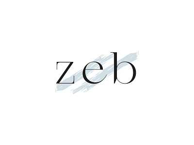 Zeb Logo branding design graphic design logo vector