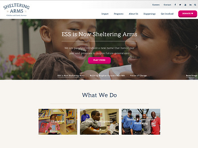 Sheltering Dribbble design nonprofit responsive website wordpress