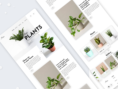 Plants Shop branding clear ui ecommerce minimalism online shop plants plantshop shopping ui uxui webdesign