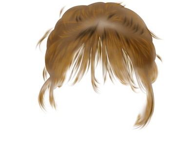 Vector art hair