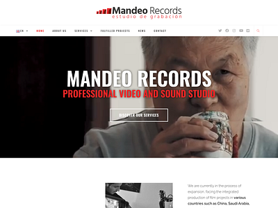 MANDEO RECORDS copy designing full website landing page landing pages migration modern website on page seo redesign responsive website web lander website business website wordpress wordpress landing page wordpress onpage seo wordpress seo wordpress website yoast seo