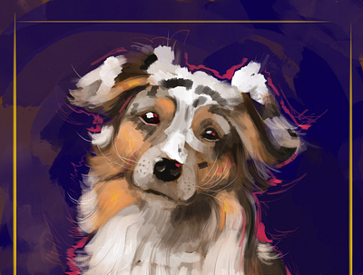 aussie shepherd australian digital painting digital portrait digitalart dog dog illustration doggo illustration photoshop postrait