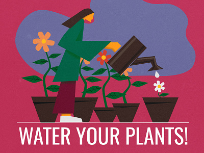 water your plants