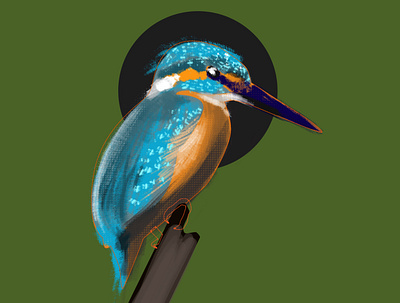 kingfisher bird bird illustration birds digital painting flight kingfisher photoshop render render