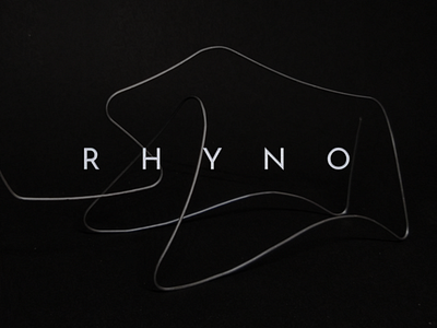 Rhyno: Wireform Abstraction 3d art abstract abstraction design fineart form design product design rhino rhinoceros sculpture typography wire
