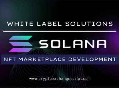 Create NFT Marketplace Platform on Solana Blockchain Network create nft marketplace on solana solana blockchain development