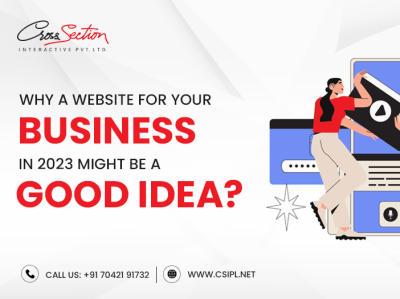 Want to Grow Your Business? Go for Custom Web Design... web designing company in delhi