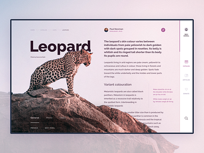 Leopard page animal article challenge concept encyclopedia figma leopard ui web wiki