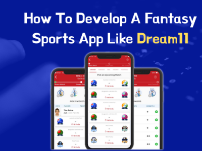 How To Develop A Fantasy Sports App Like Dream11