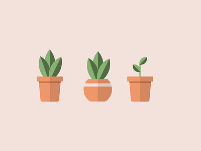 flat design potted plants