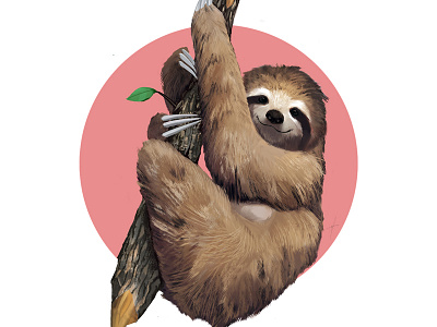 Sloth animals cute fur happy illustartion lazy sloth tree wildlife