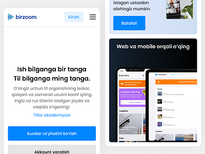 birzoom design ui ui design user interface design website website design