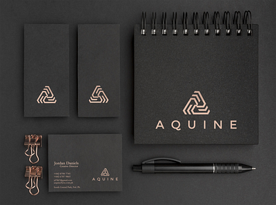 AQUINE brand design design flat illustration logo minimalist vector