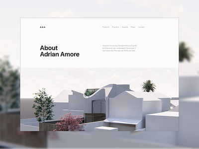 Adrian Amore Architects design minimal ui ux