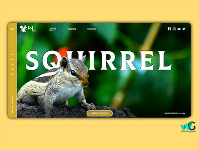 Wild Life Website UI Design branding design icon symbol ui ux web webgraphee website