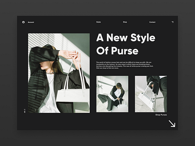 A New Style Of Purse design landingpage landingpagedesign minimal type typography ui ux web website
