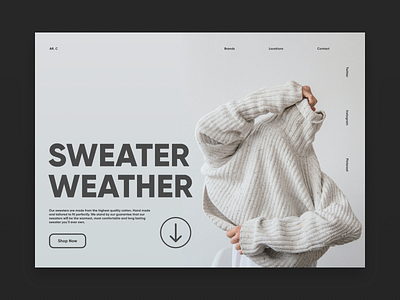 Sweater Weather design landingpage landingpagedesign minimal type typography ui ux web website