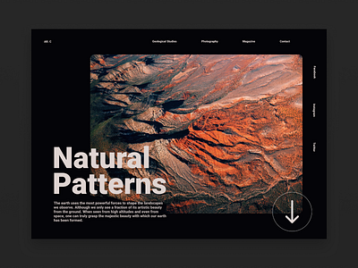 Natural Patterns design landingpage landingpagedesign minimal type typography ui ux web website