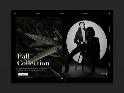 Fall Collection design landingpage landingpagedesign minimal type typography ui ux web website