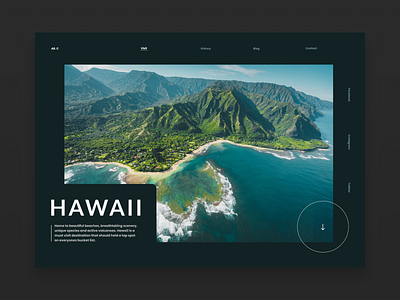 Hawaii design landingpage landingpagedesign minimal type typography ui ux web website