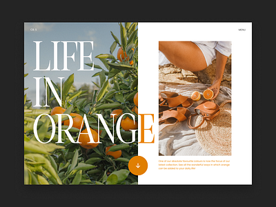 Life In Orange design landingpage landingpagedesign web website