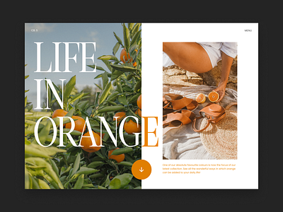 Life In Orange