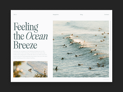 Ocean Breeze design graphic design landingpage landingpagedesign type web website