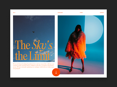 The Sky's the Limit design graphic design landingpage landingpagedesign web website