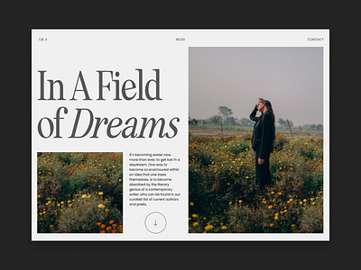 Field of Dreams design graphic design landingpage landingpagedesign web website
