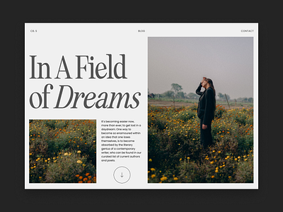 Field of Dreams