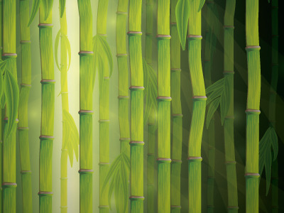 Vector Bamboo by Sharon Milne on Dribbble