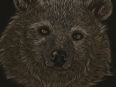 Scratchboard Bear brush illustration illustrator tutorial vector