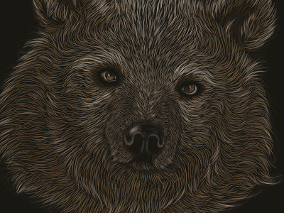 Scratchboard Bear