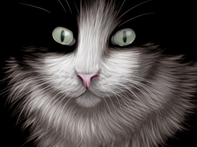 Lucky cat illustration portrait vector