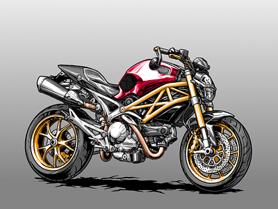 Ducati Monster Vexel