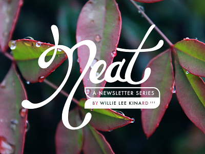 Neat | A Newsletter Series branding calligraphy hand done type hand drawn hand type handlettering identity lettering logo script script lettering vector