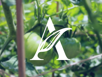 Green A a branding greenery icon identity logo natural tomatoes vegetables