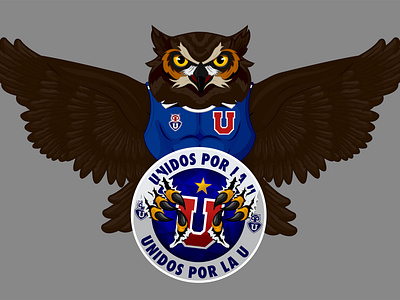 Búho Unidos por la U búho design illustration illustrator logo udechile vector