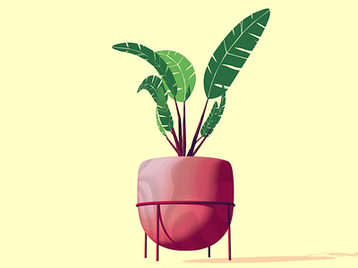 Plant cinema4d design illustration minimalist plants