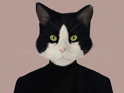 John Lick animal cat digital drawing illustration