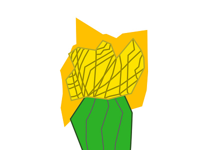 Yellow Grafted Cactus, Fragmented