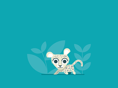 Arabian Leopard animal arabian carnivores childrens book educational icon leopard