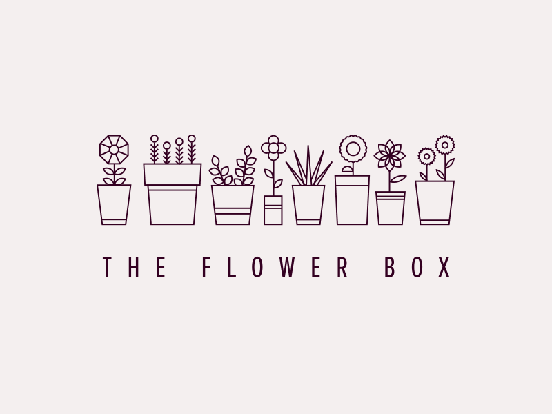 The Flower Box Concepts branding concept design floral geometric identity logo minimal modern process