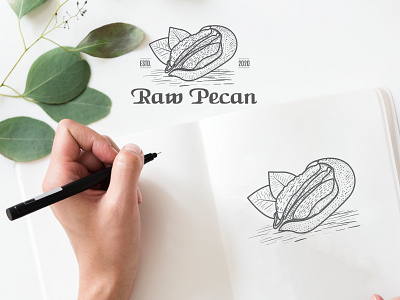 Raw Pecan Hand Drawn Logo branding design graphic design icon illustration logo minimal sketch typography vector vintage logo