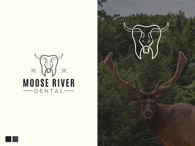 Moose Dental Logo abstract logo animal logo branding dental logo graphic design icon logo logodesign minimal moose deer sketch typography vintage logo