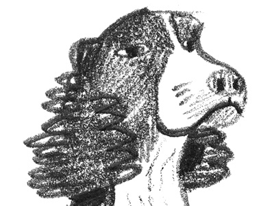 Dog Show (Number 1) dog dog show pencil sketch