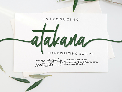 Atakana Handwriting Font Script branding design font font script handriwting font hanwritten logo scripts font typography