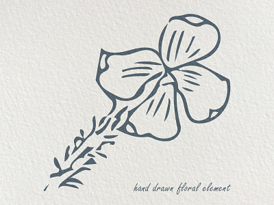 hand drawn floral elements