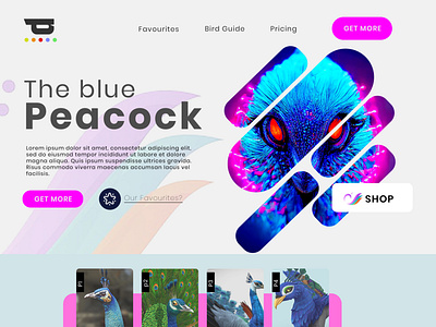 AI Peacock | Design Idea | Web Hero Section Design design graphic design hero section ui web design