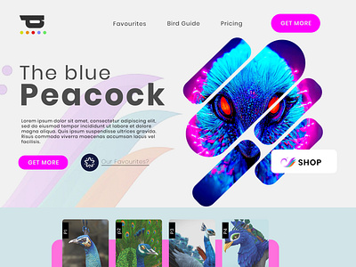 AI Peacock | Design Idea | Web Hero Section Design